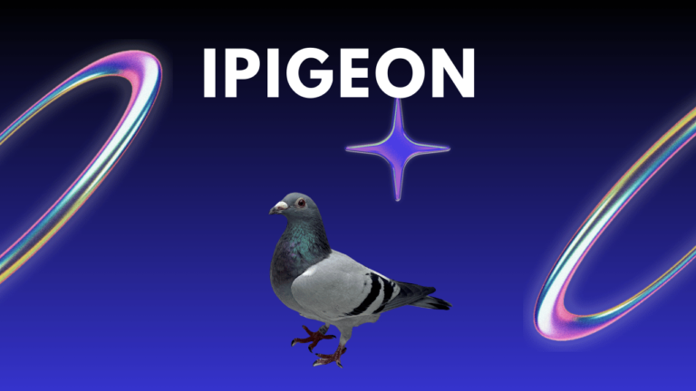 ipigeon